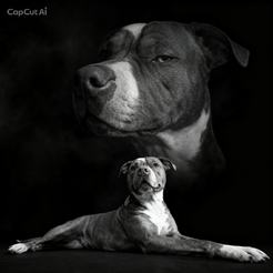 Regal