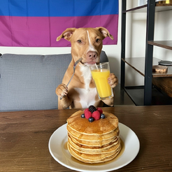 Pancakes