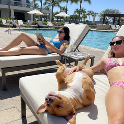 Pool Babes 2