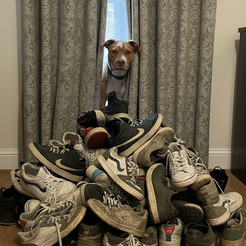 Shoes 1