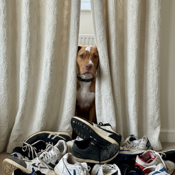 Shoes 2