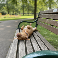 Bench Life 1