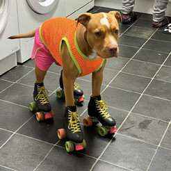 Skater 2